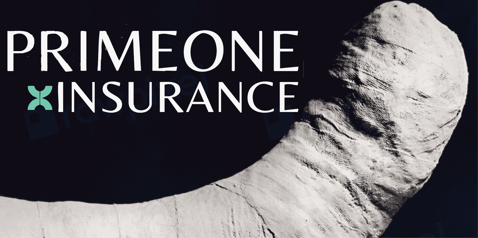PrimeOne